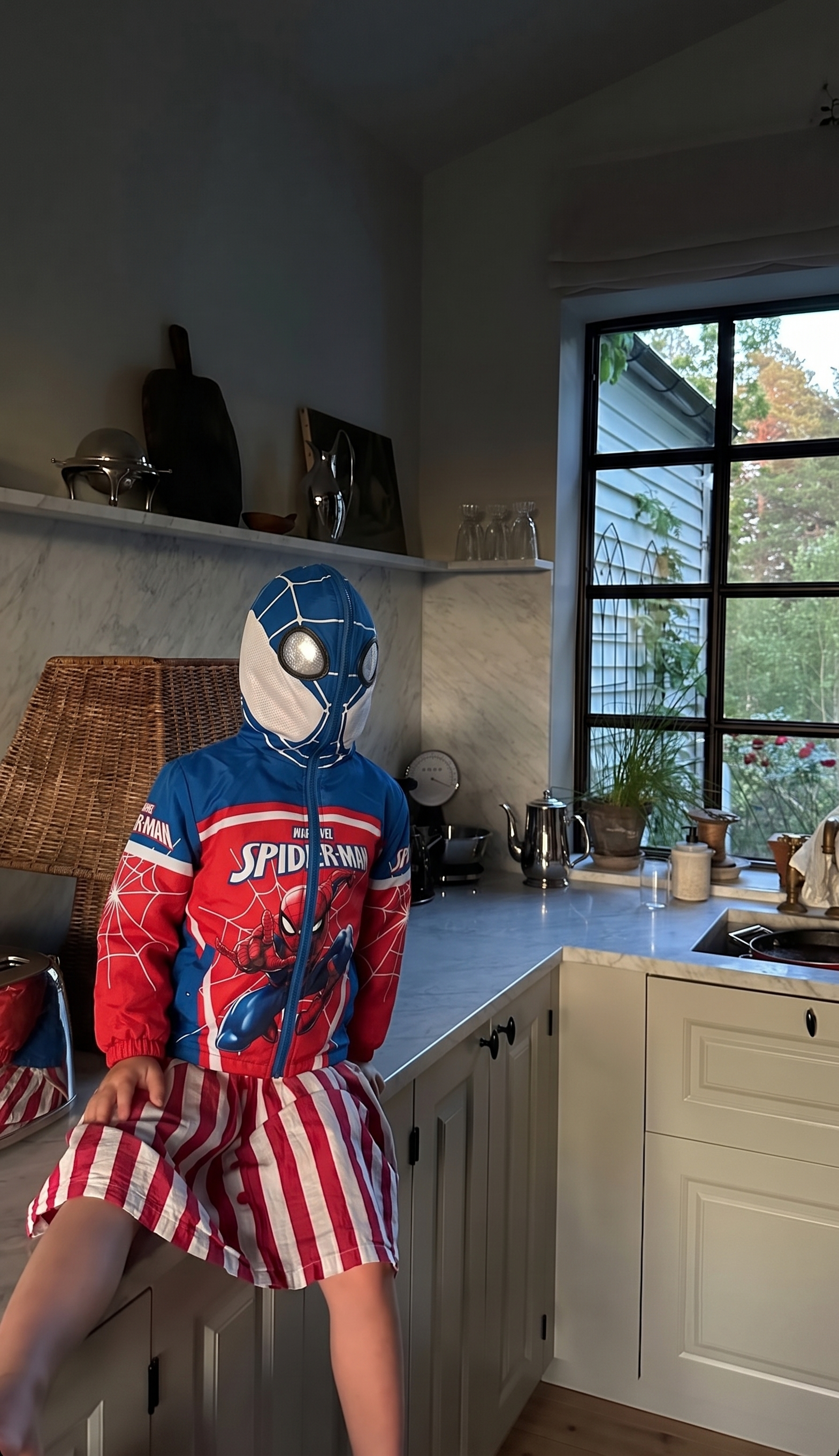 "Origin Spider" Hooded Jacket Kid